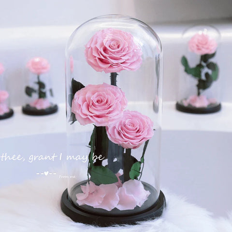 Real Preserved Red Rose in Glass Dome