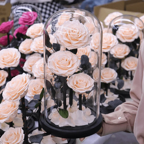 Real Preserved Red Rose in Glass Dome