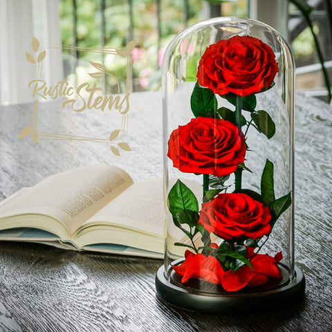 Real Preserved Red Rose in Glass Dome