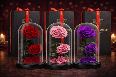 Real Preserved Red Rose in Glass Dome
