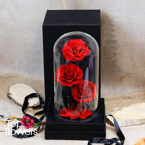 Real Preserved Red Rose in Glass Dome
