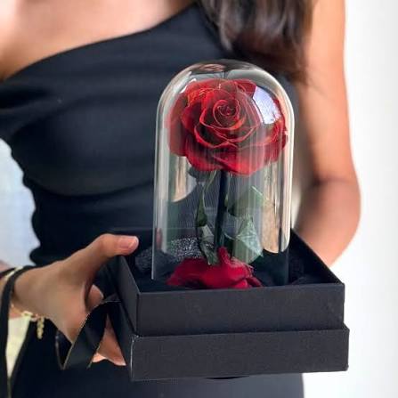 Real Preserved Red Rose in Glass Dome