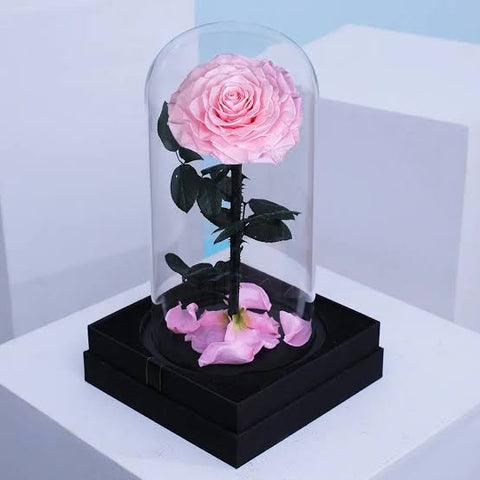 Real Preserved Red Rose in Glass Dome