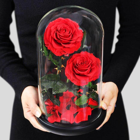 Real Preserved Red Rose in Glass Dome