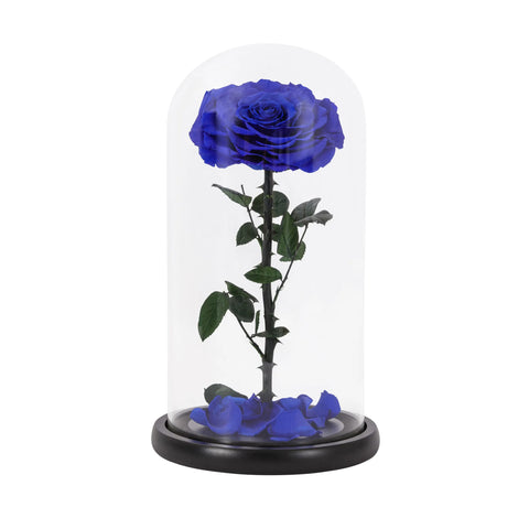 Real Preserved Red Rose in Glass Dome